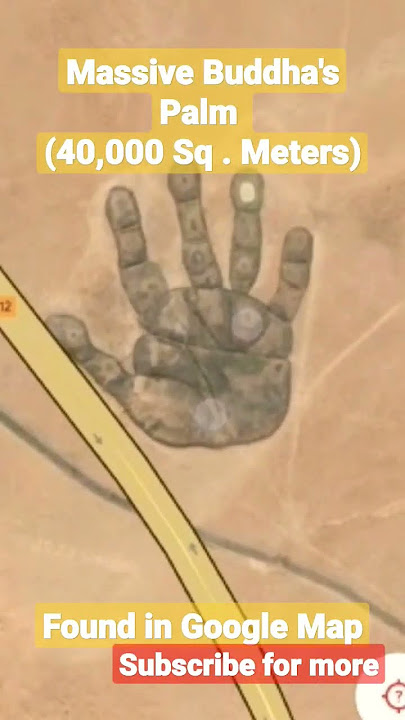 Massive Buddha's Palm found in Google Map