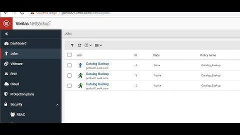 How to Backup Veritas NetBackup 8.2 Catalog