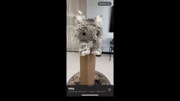 3D Scanning with Luma AI