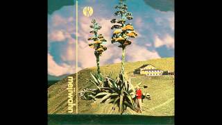 Art Vandelay - Zum