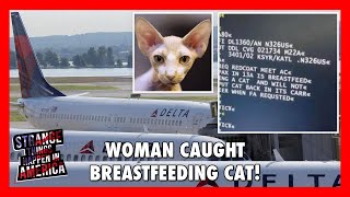 Woman Caught Breastfeeding Hairless Cat On Delta Flight