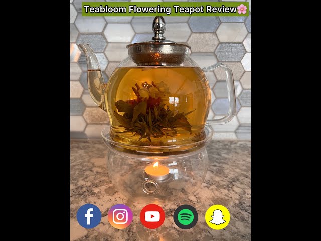 Teabloom Stovetop & Microwave Safe Glass Teapot Review: Insulated Double  Walled Cups & Teapot 