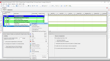 Reflection of Project in Primavera P6