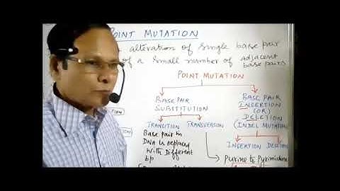 XII Bio Botany and Botany Chapter 3 Chromosomal basis of inheritance Mutation  I  Video   11