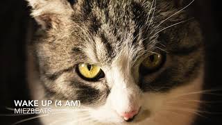 Miezbeats - Wake Up (4 Am) - 