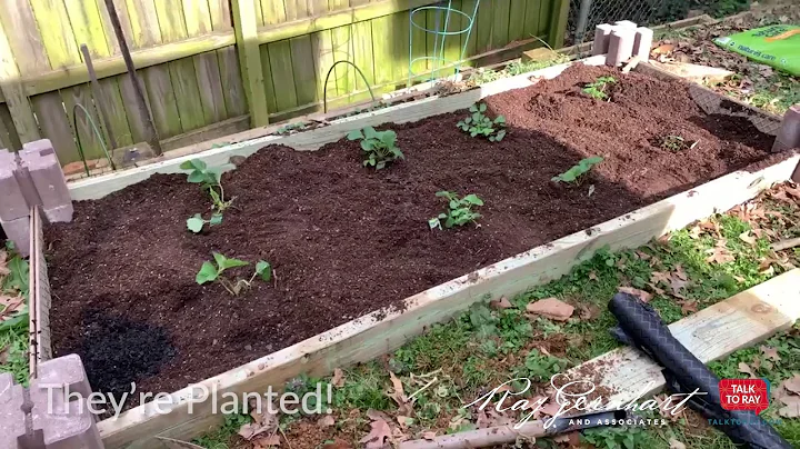 Real Estate Agent & Gardening Novice Ruth Garvey |...