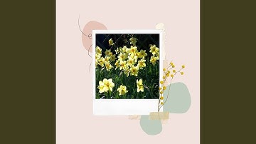 Pulsating Backdrops for Enchanting Nature