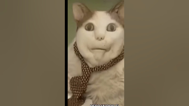 ¡BOO! no le hagas caso al perro 😾 #boo #cat