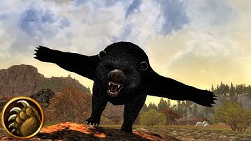 LOTRO Stream: Leveling a New Beorning on Anor! (+ Class Talk)