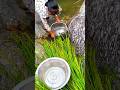 #fishing #fisherman #fish