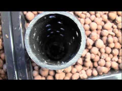 Aquaponics system: How to build a desktop aquaponics system for indoor 