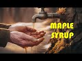 How to Make Maple Syrup - Start to Finish