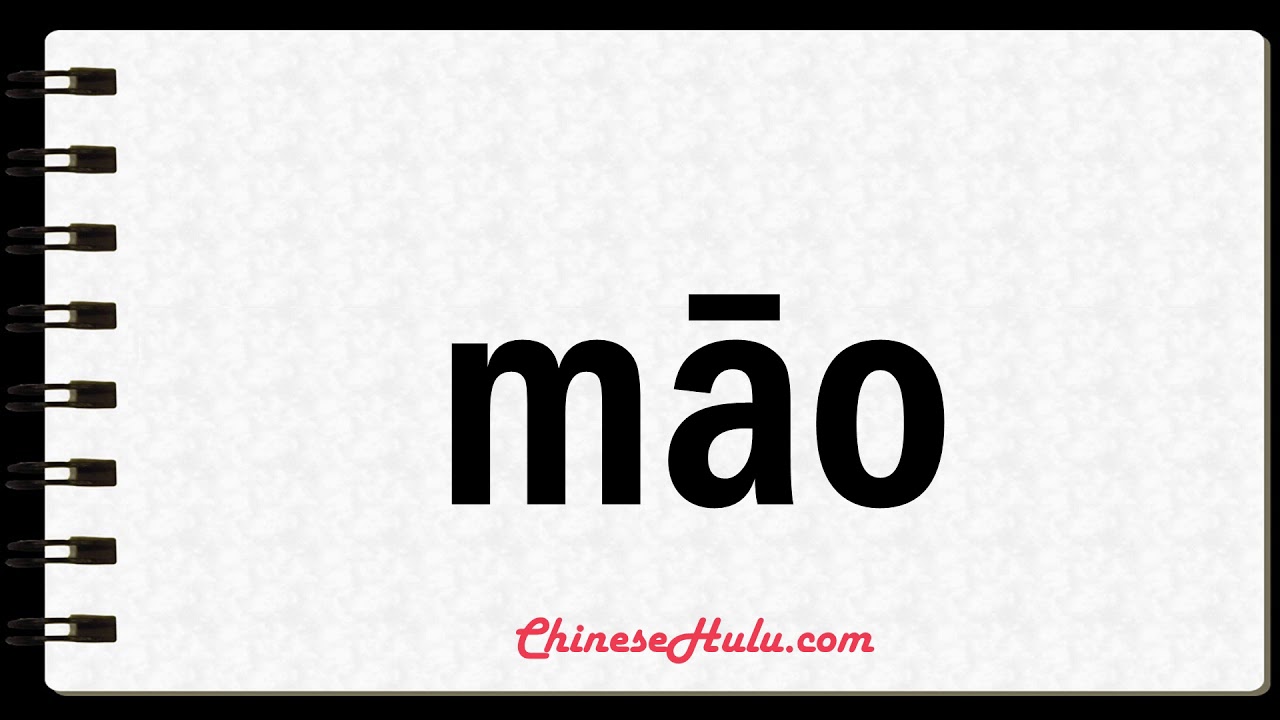 How to Say cat in Mandarin Chinese YouTube