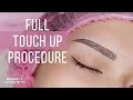 ✅ MICROBLADING with SHADING  Step-by step TOUCH UP PROCEDURE Tutorial