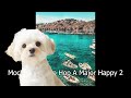 Lo-Fi Hip Hop BGM Study/Work/Relax [勉強/作業/リラックスBGM] Major & Minor Combined Collection