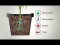 SoHum Living Soils
