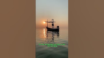 Các bà ở nhà thì làm sao biết câu cá lại thú vị đến vậy  #caucaedu #cauca #caucagiaitri #shorts