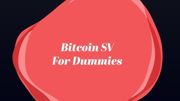 Bitcoin SV For Dummies | What Is One Blockchain For All? | Should You Invest In Bitcoin SV?