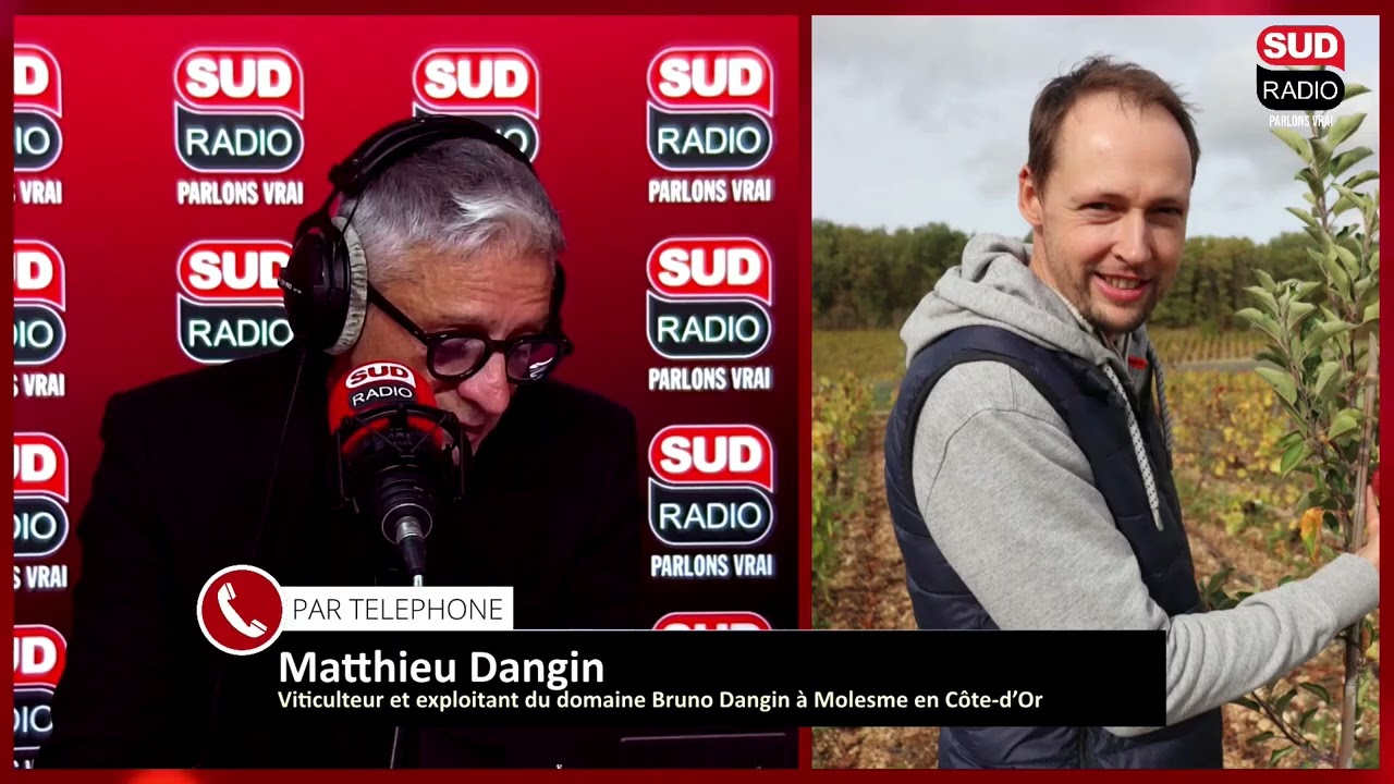Vendanges : "En une génération, on a décalé de plus d’un mois la date des récoltes"