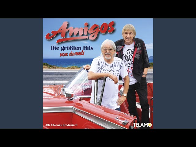 Amigos - Zwei Herzen aus Gold