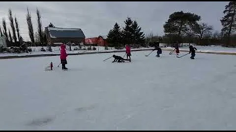 Outdoor hockey