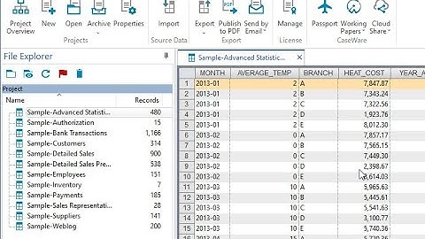 Forensic Analytics Second Edition, IDEA 2, Import, Sample, Top Records, Benford & Calculated Field
