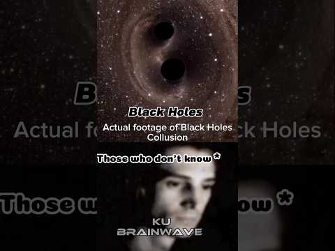 Black Hole Collision: