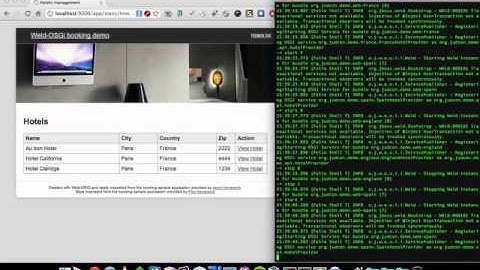 Weld-OSGi demo from JUDCON London 11