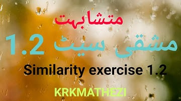 Similarity exercise 1.2