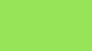 LIGHT GREEN SCREEN IN HD [5 HOURS]