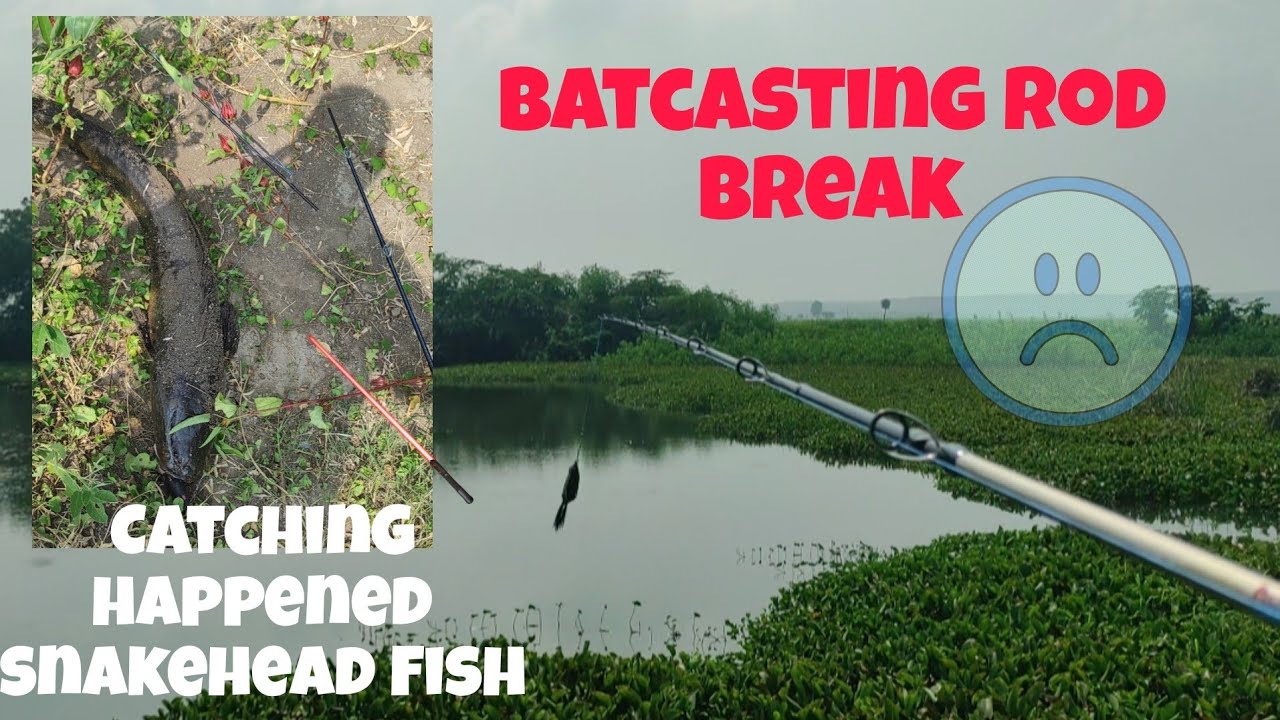 Baitcasting rod Broke when Snakehead Fish Hunting 😡😡 