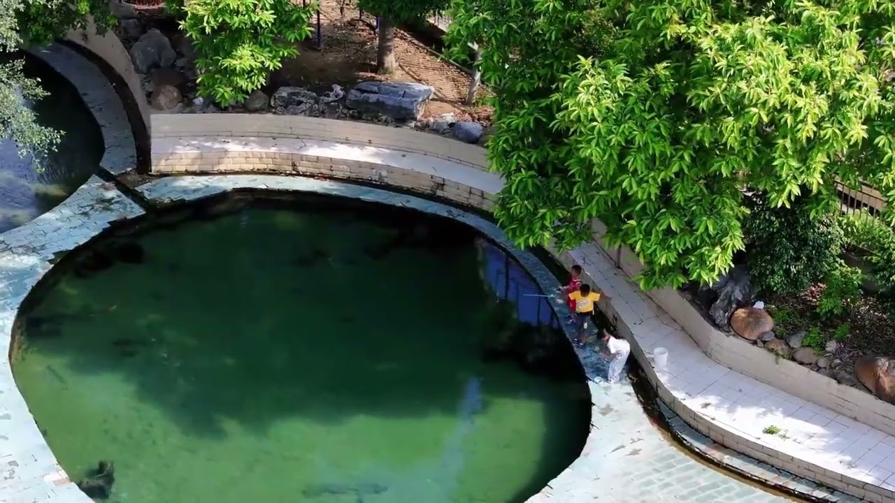 Where Kids Play and Fish Swim: The Five Rings Pools of Nanning