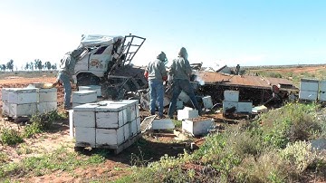 Extreme Beehive Unloading...