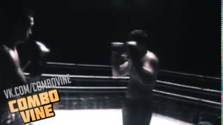 Combo Vine 612