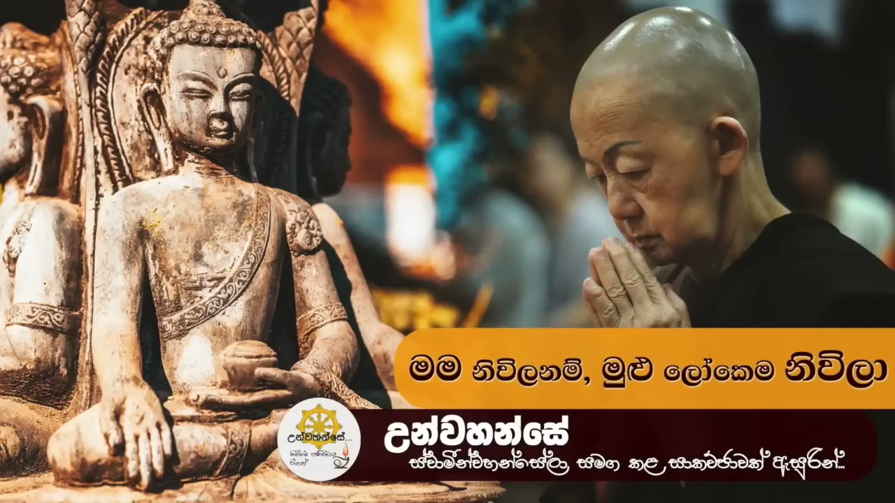 සිත කොච්චරක් නිවිලද? | Niwan Dakimu