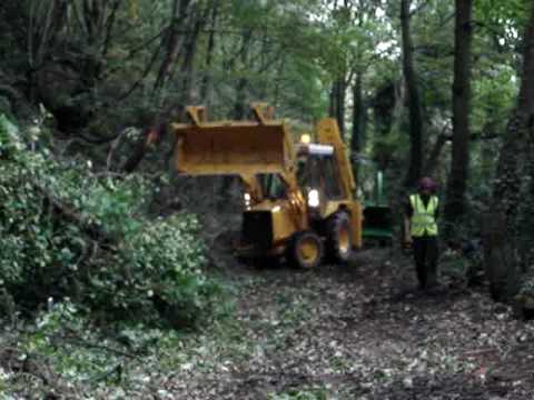 Lewis Arborcare use their JCB Sitemaster to quickly move the root plates of windblown Sycamore trees on a local authority contract in Bridgnorth.