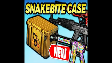 NEW OPENING CASE - 10x SNAKEBITE CASE