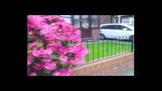 Жизнь в Англии. Английские ДОМА. English houses