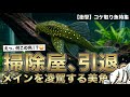 掃除屋と呼ぶのは失礼でした！メインを凌駕する美しきコケ取り生体8選【淡水魚 アクアリウム】