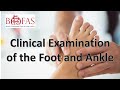 Clinical examination of the foot and ankle