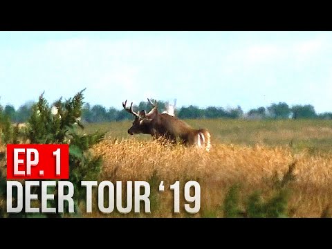 north-dakota-public-land---we-found-bucks-and-a-big-surprise!-|-deer-tour-'19-e1