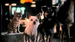 Babe: Pig in the City Official Trailer #1 - Mickey Rooney Movie (1998) HD