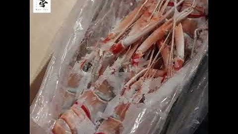 New Zealand Scampi