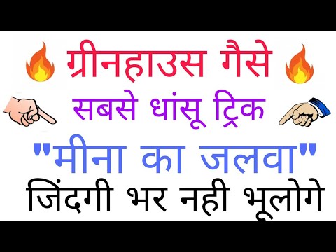 वीडियो: गिरावट में साइडरेटा: जो बगीचे के लिए बेहतर है और क्या सर्दियों से पहले खुदाई करना आवश्यक है, ग्रीनहाउस और खुले मैदान में बुवाई करना