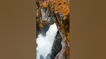 سورة الأعراف-الآية 126#رَبَّنَآ أَفْرِغْ عَلَيْنَا صَبْرًا وَتَوَفَّنَا مُسْلِمِينَ #سعد الغامدي #