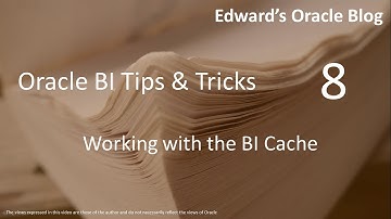 Working with the BI Cache