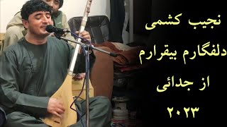 آهنگ جدید نجیب کشمی دلفگارم بیقرارم از جدایی | Najeeb Keshmi New Dambora 2023