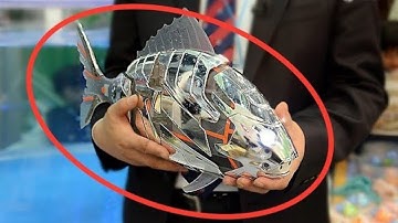 5 Amazing BIONIC ROBOTS Made By Festo Robotics