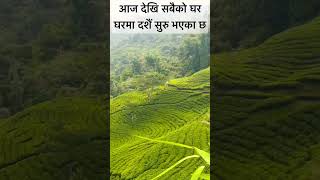 घर घरमा आज देखि दशै #dashainvlogs #festivalvibes #nepalvillage