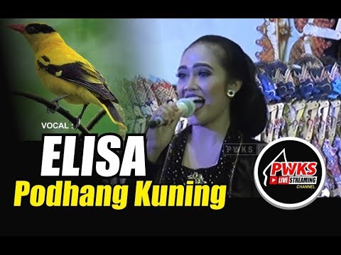 elisa-ramaikan-suasana---podhang-kuning